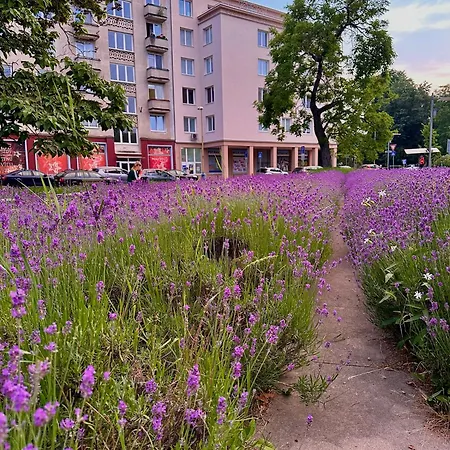 Letna, Ac & Garage 89m2 And 44m2 Appartement