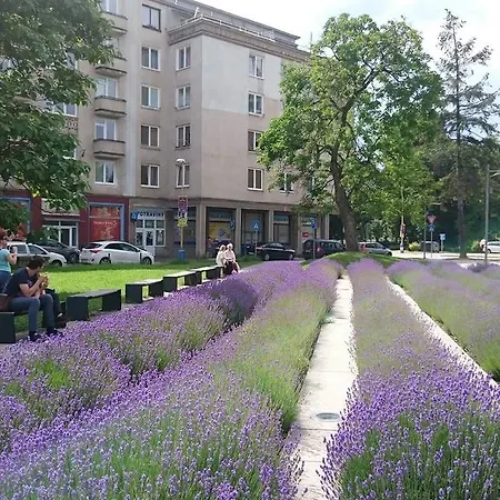 Letna, Ac & Garage 89m2 And 44m2 Košice